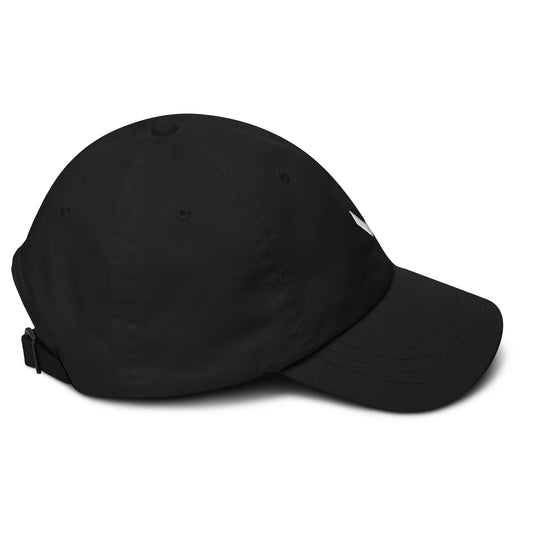 DRVN Embroided Hat